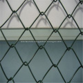 Green PVC Coated Chain Link Fence/Diamond Wire Mesh